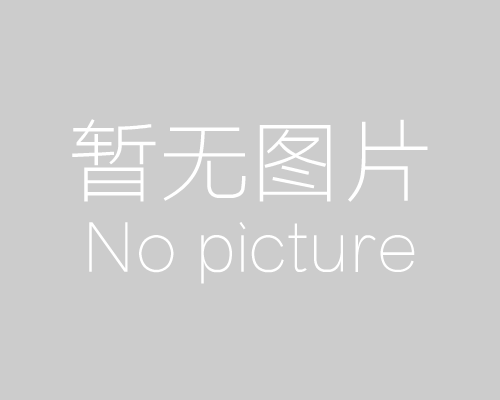 ZW-500/2S/D雙槽單蓋真空包裝機